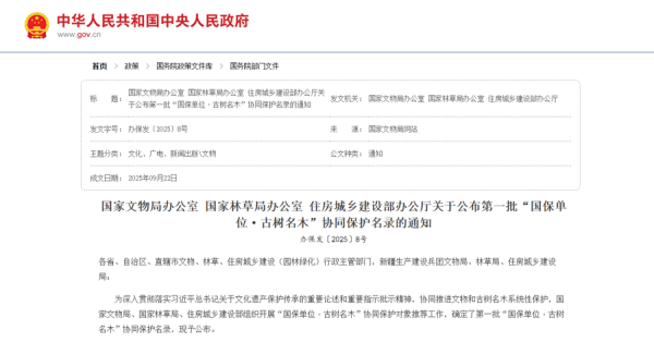 哈福配资 上海700年寺庙突然走红，因为殿前650岁的“老人家”