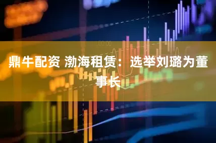 鼎牛配资 渤海租赁：选举刘璐为董事长