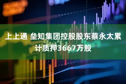 上上通 垒知集团控股股东蔡永太累计质押3667万股